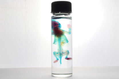 Discount Diaphonized Baby Mouse