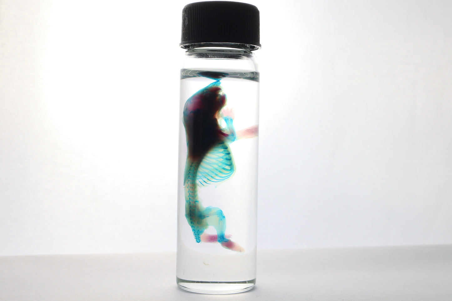 Discount Diaphonized Baby Mouse