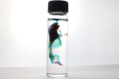 Discount Diaphonized Baby Mouse
