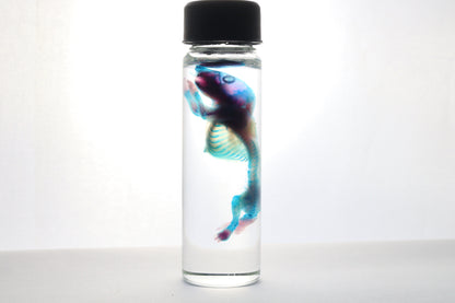 Discount Diaphonized Baby Mouse