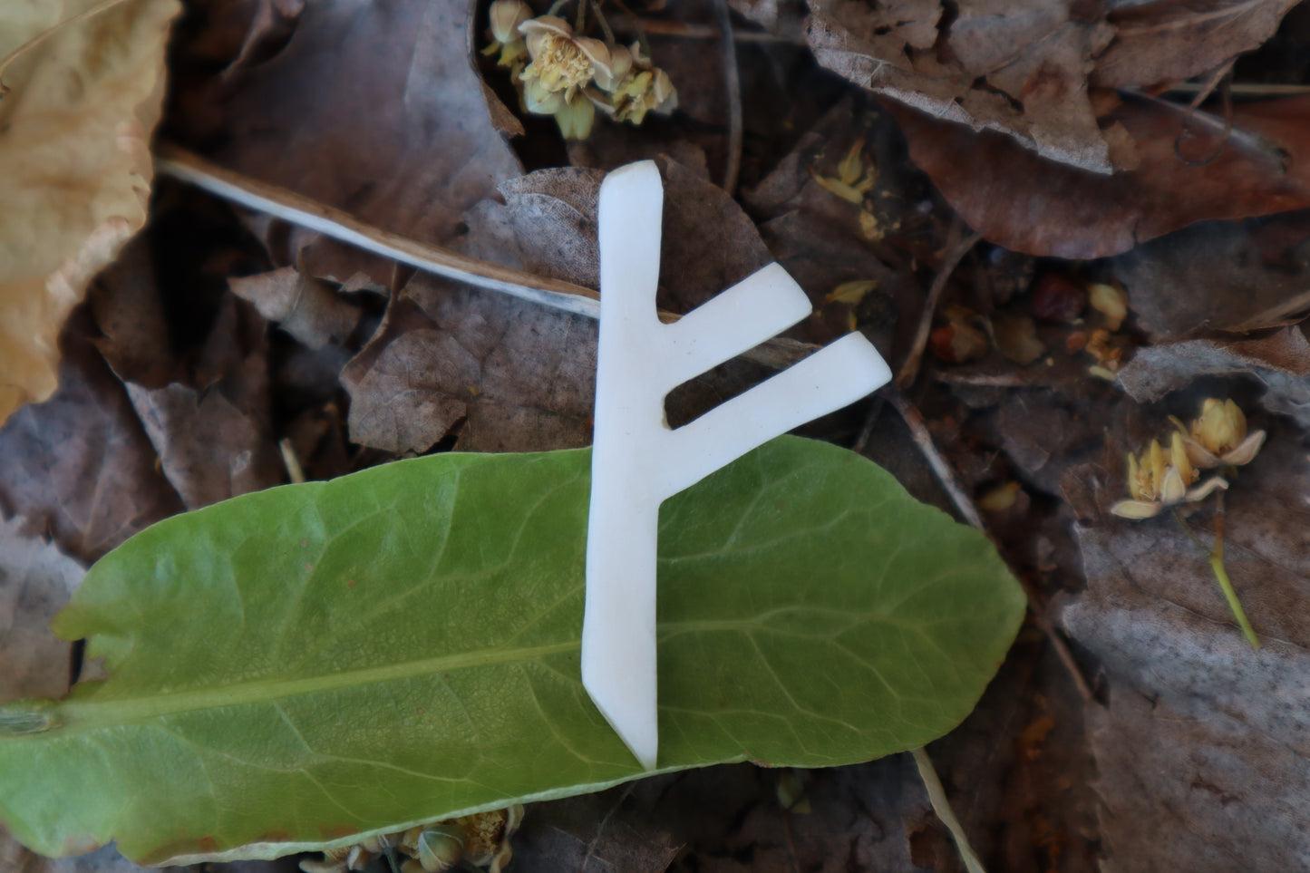 Fehu Wolf Bone Talisman