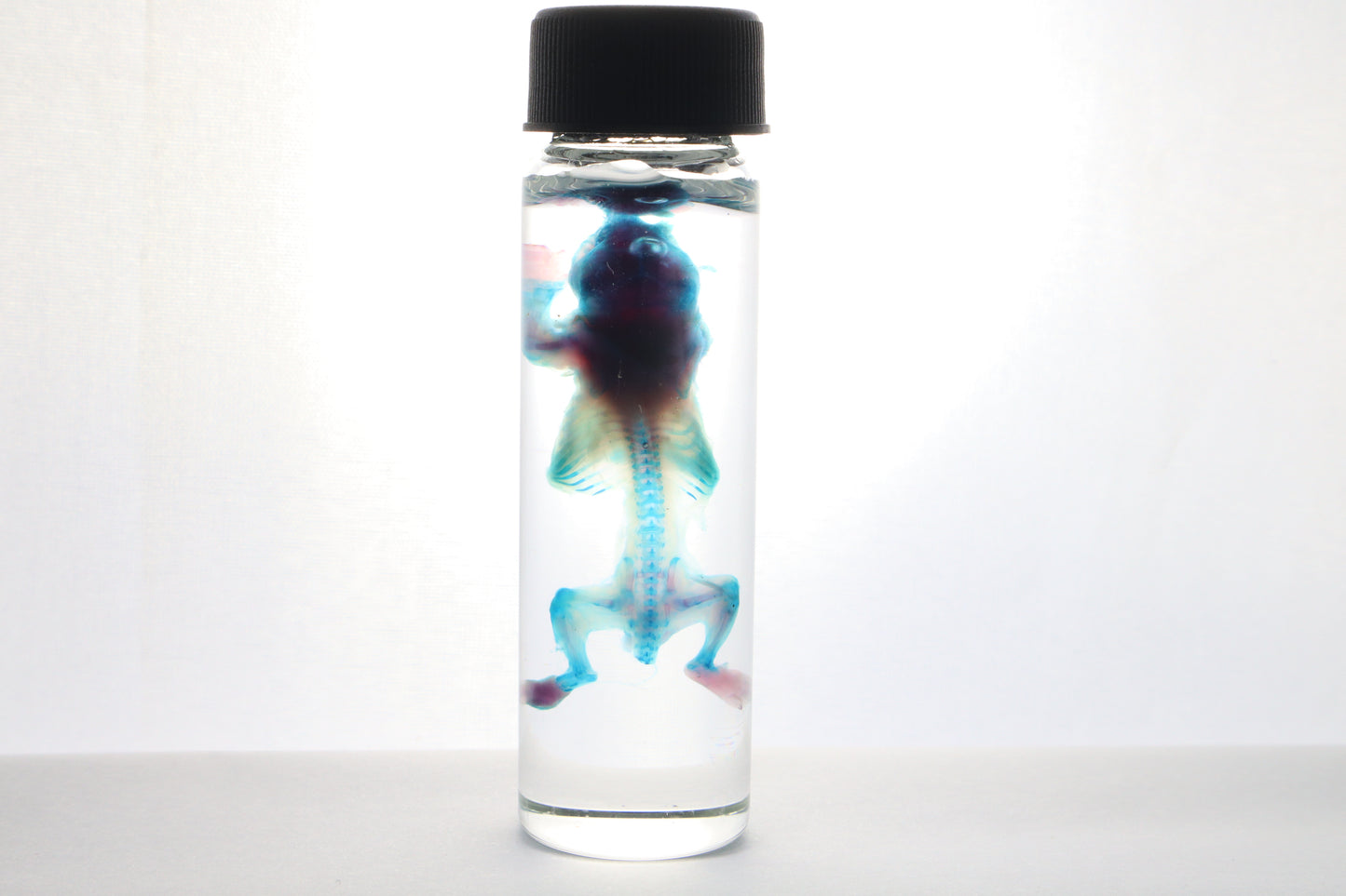 Discount Diaphonized Baby Mouse