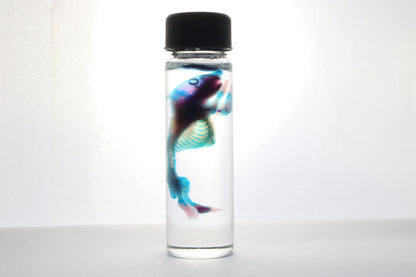 Discount Diaphonized Baby Mouse