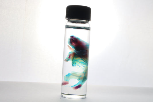 Discount Diaphonized Baby Mouse
