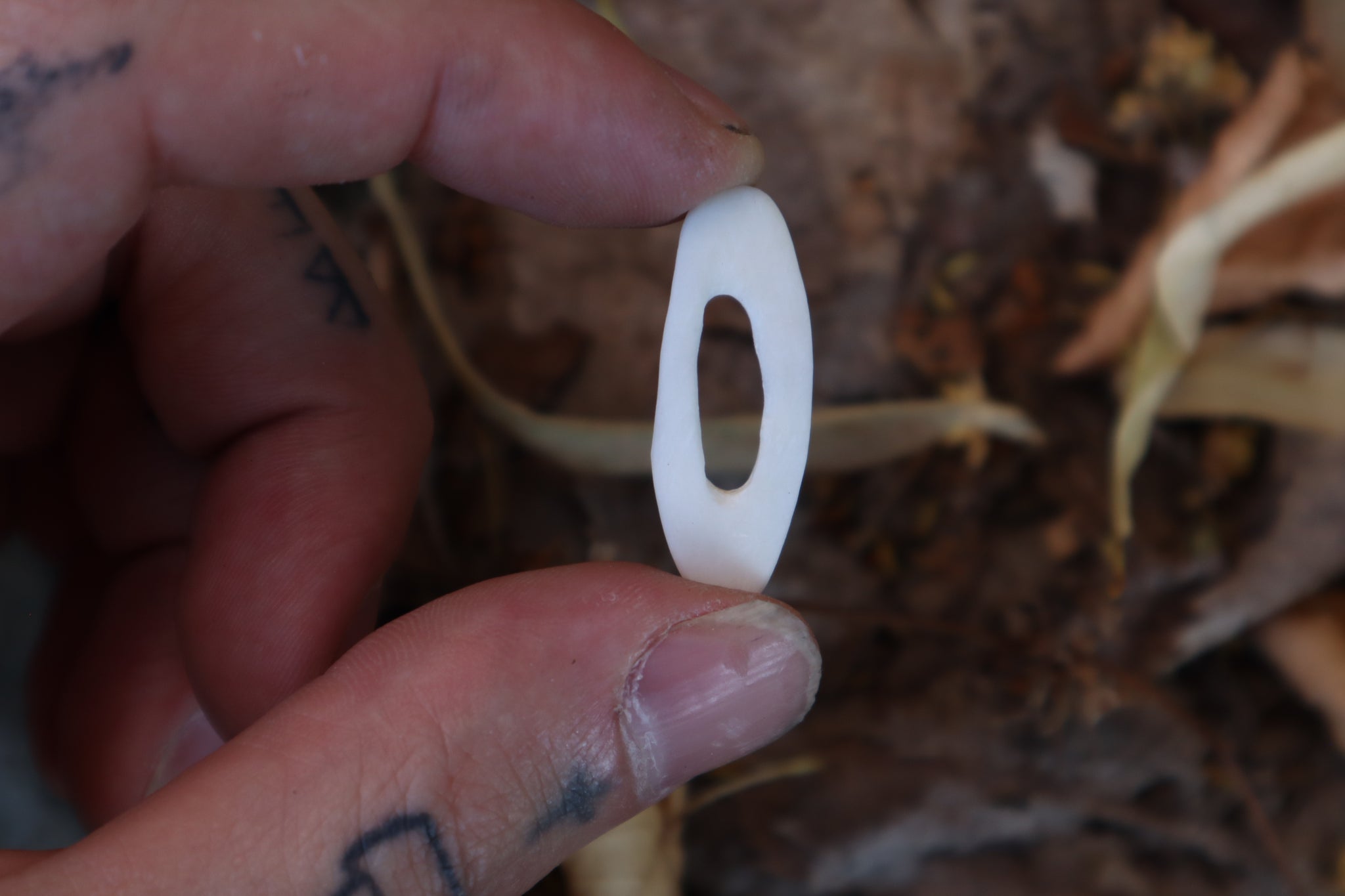 Raccoon Skull Adder Stone