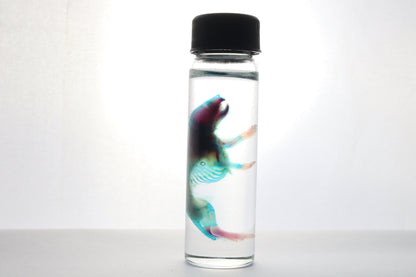 Discount Diaphonized Baby Mouse