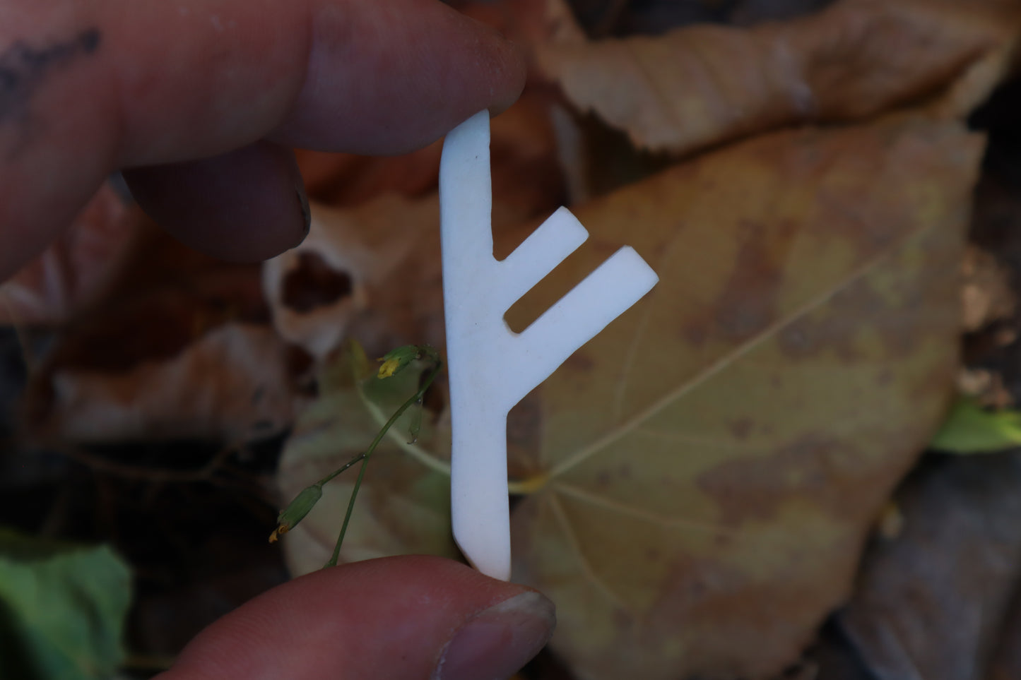Fehu Wolf Bone Talisman