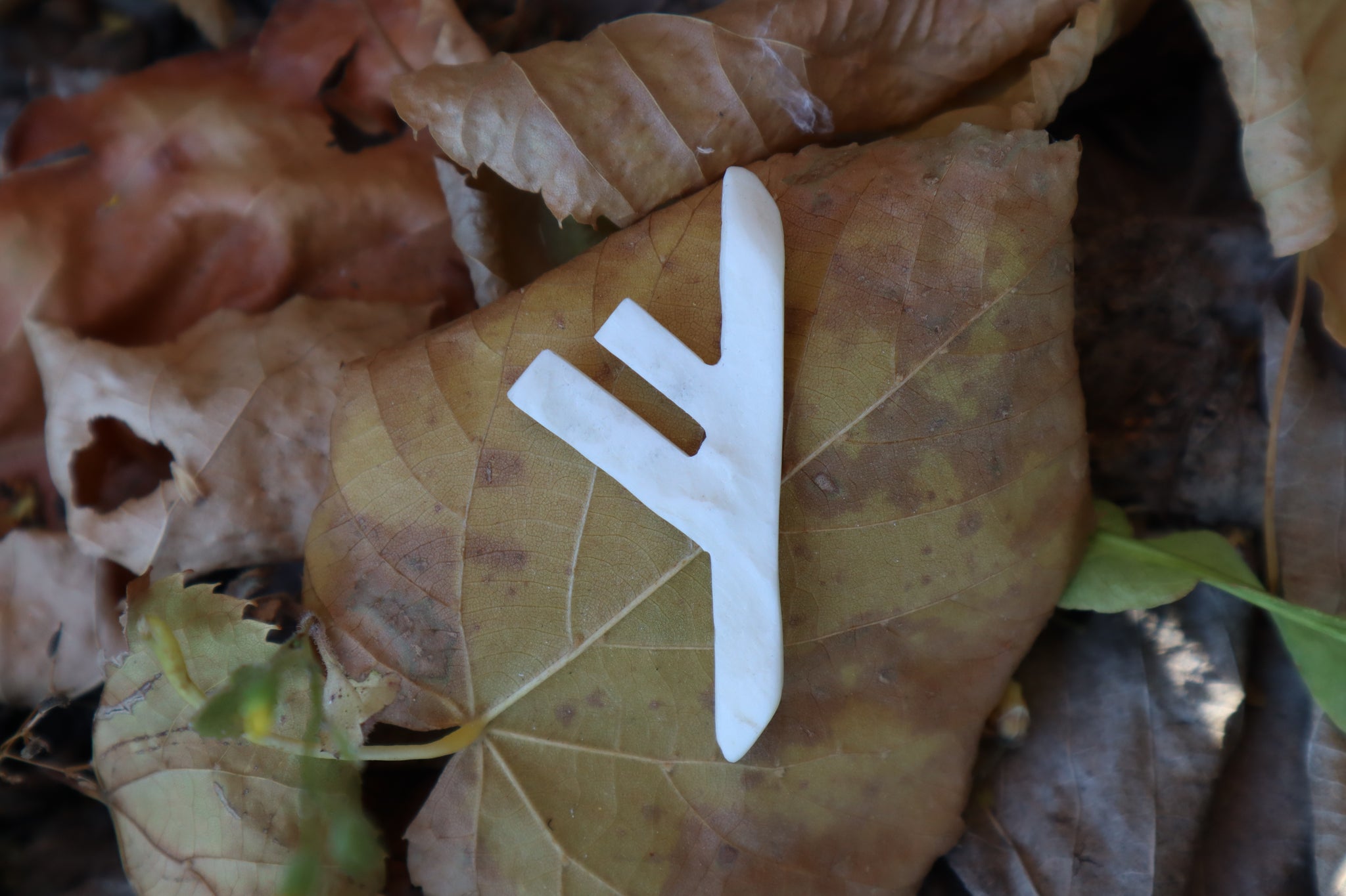 Fehu Wolf Bone Talisman