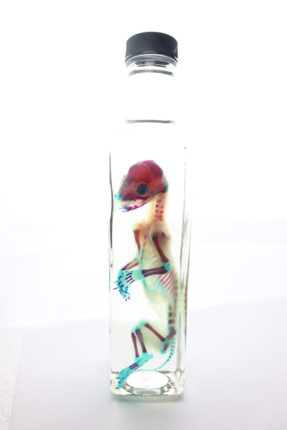 Diaphonized Fetal Bobcat