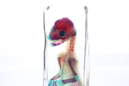 Diaphonized Fetal Bobcat