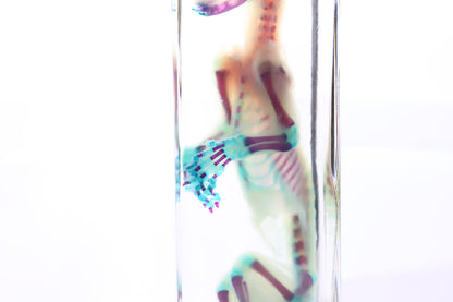 Diaphonized Fetal Bobcat