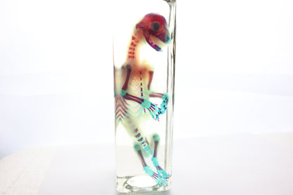 Diaphonized Fetal Bobcat