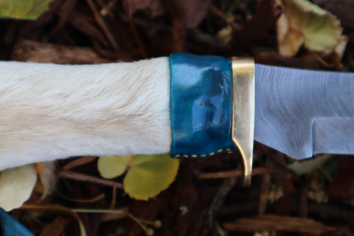Damascus Gray Wolf Paw Knife with Crescent Moon Sheath