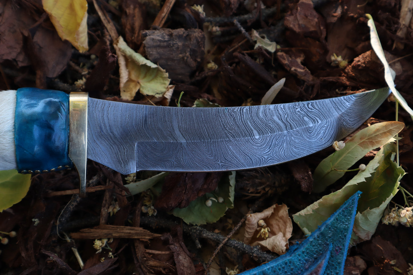 Damascus Gray Wolf Paw Knife with Crescent Moon Sheath