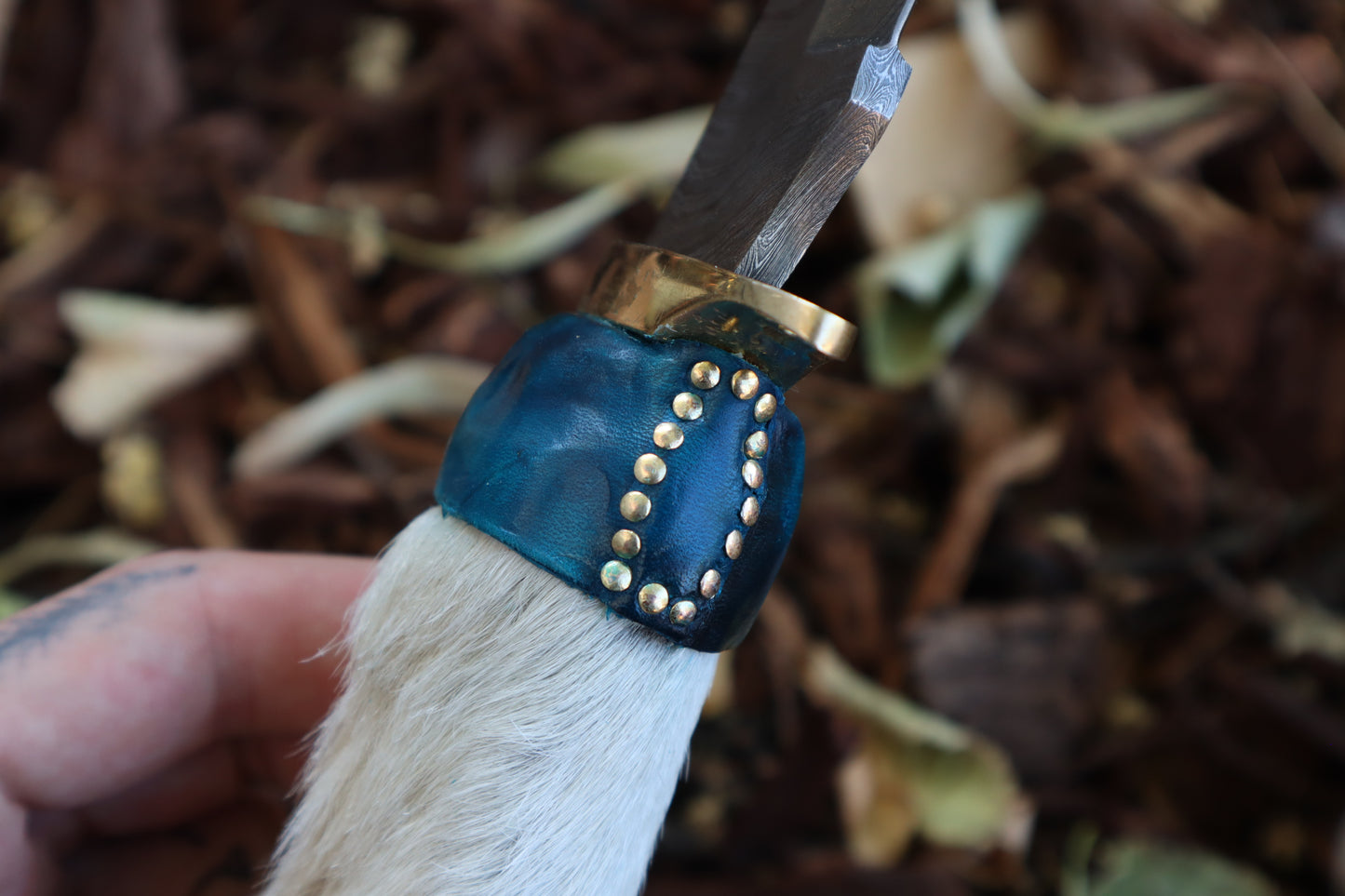 Damascus Gray Wolf Paw Knife with Crescent Moon Sheath