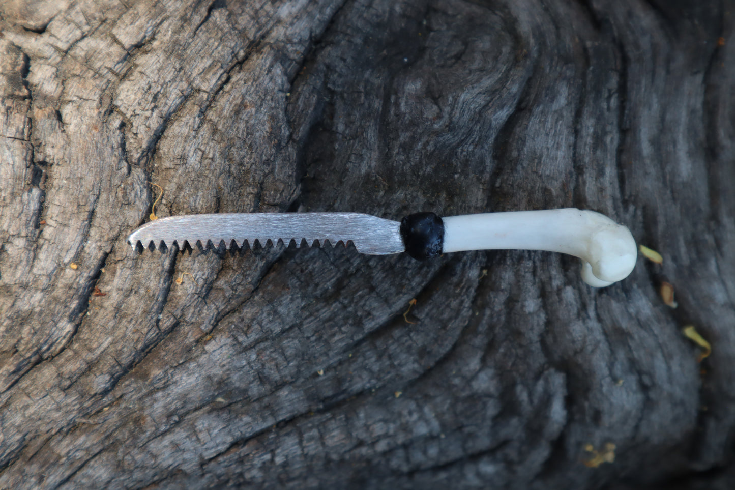 Eastern Gray Squirrel Femur Knife