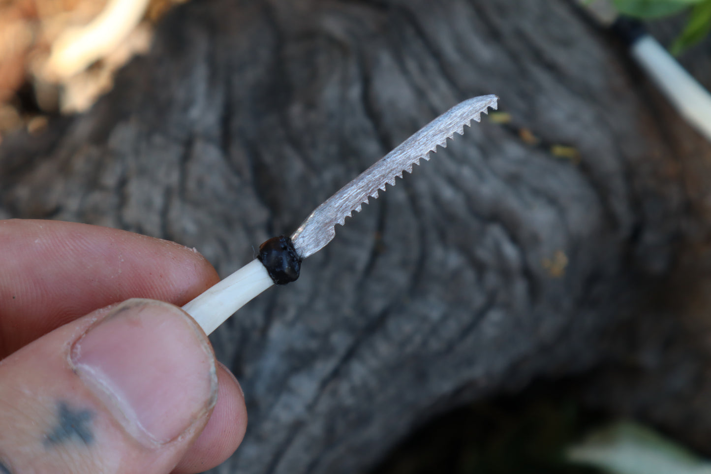 Eastern Gray Squirrel Femur Knife