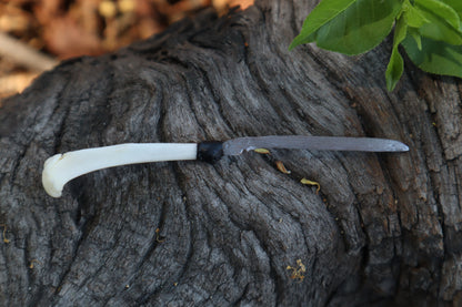 Eastern Gray Squirrel Tibia Knife