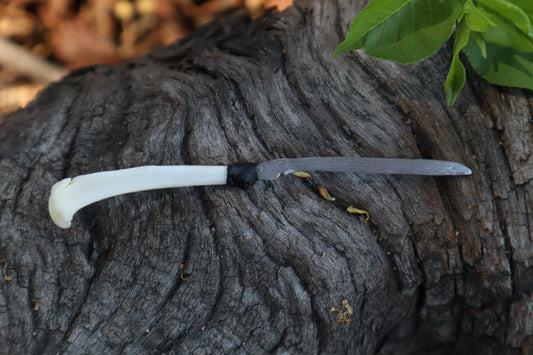 Eastern Gray Squirrel Tibia Knife