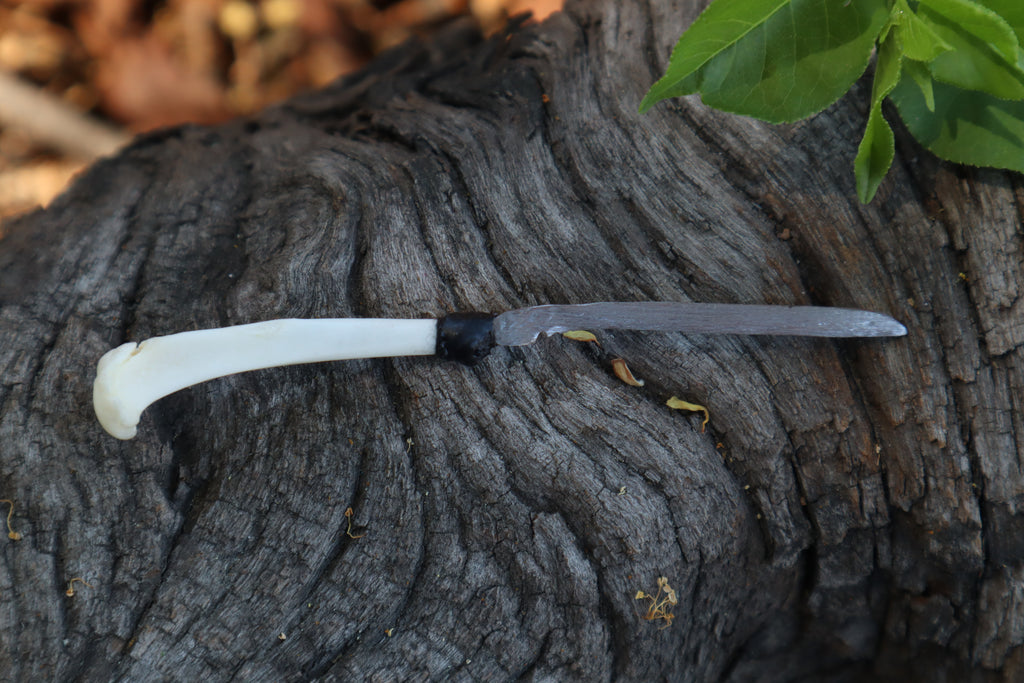 Eastern Gray Squirrel Tibia Knife