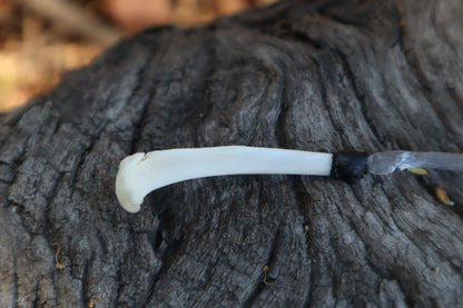 Eastern Gray Squirrel Tibia Knife