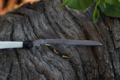 Eastern Gray Squirrel Tibia Knife