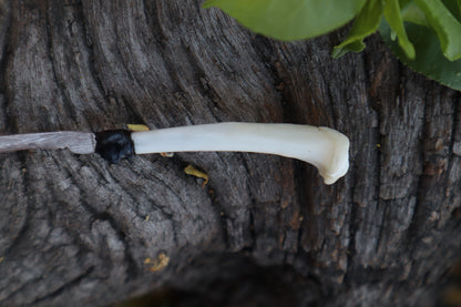Eastern Gray Squirrel Tibia Knife