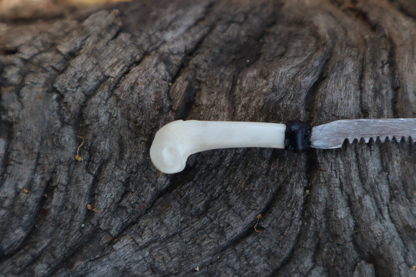 Eastern Gray Squirrel Femur Knife
