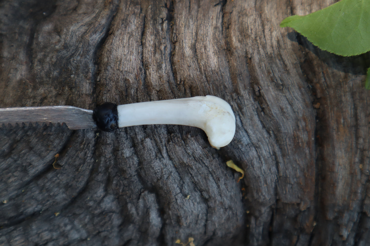 Eastern Gray Squirrel Femur Knife