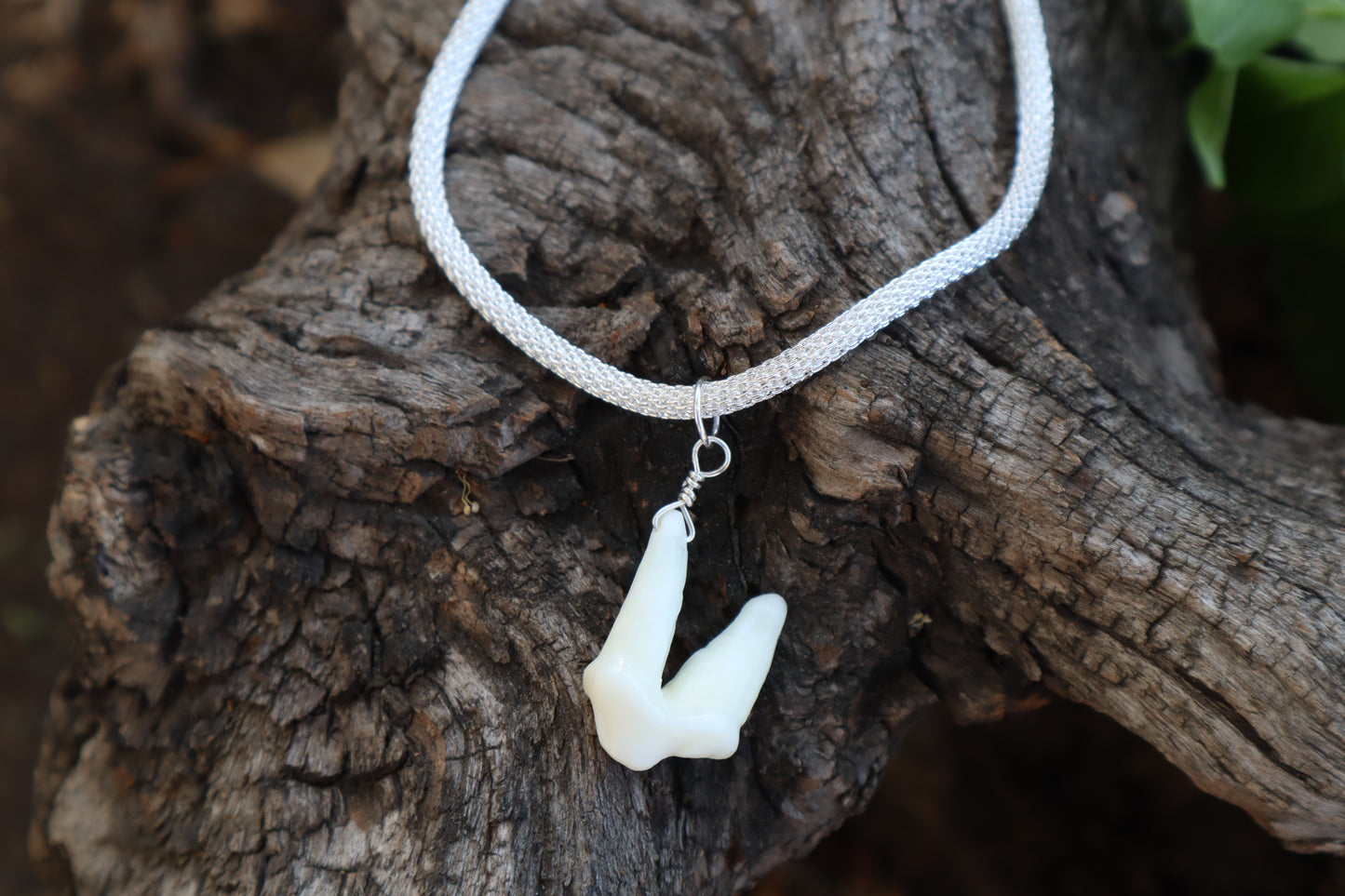 Gray Wolf Tooth Necklace