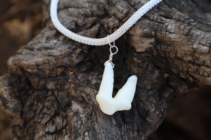 Gray Wolf Tooth Necklace