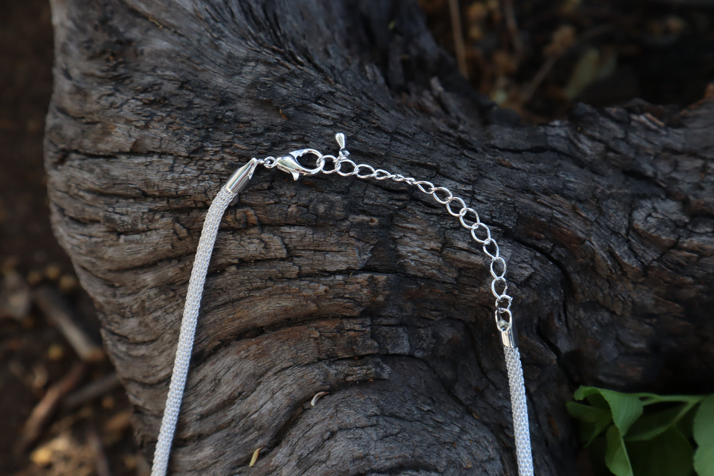 Gray Wolf Tooth Necklace