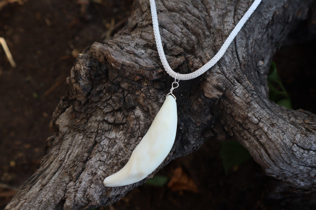 Gray Wolf Tooth Necklace