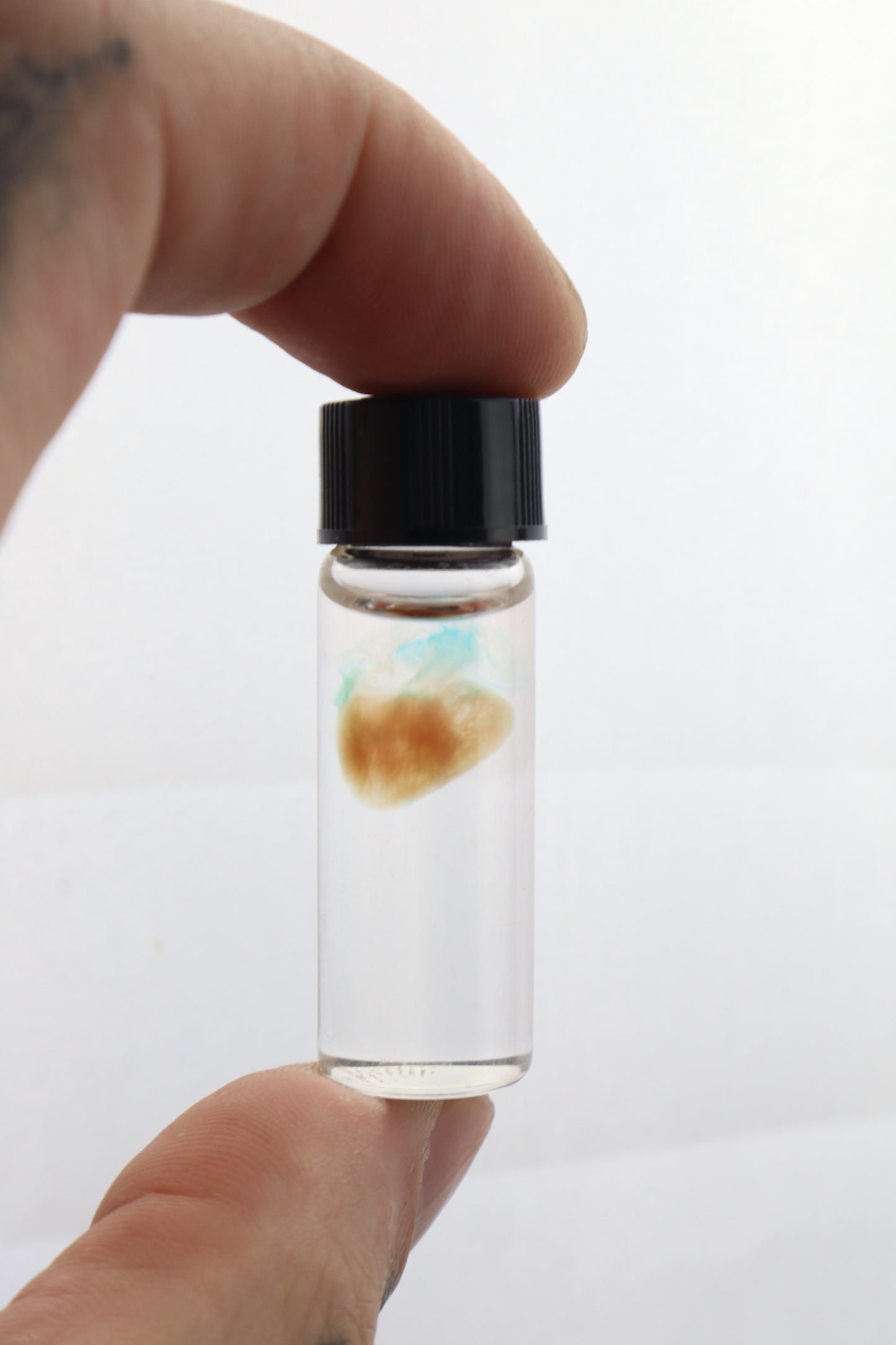 Diaphonized Fetal Coyote Heart