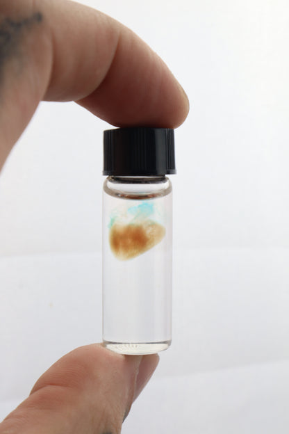 Diaphonized Fetal Coyote Heart