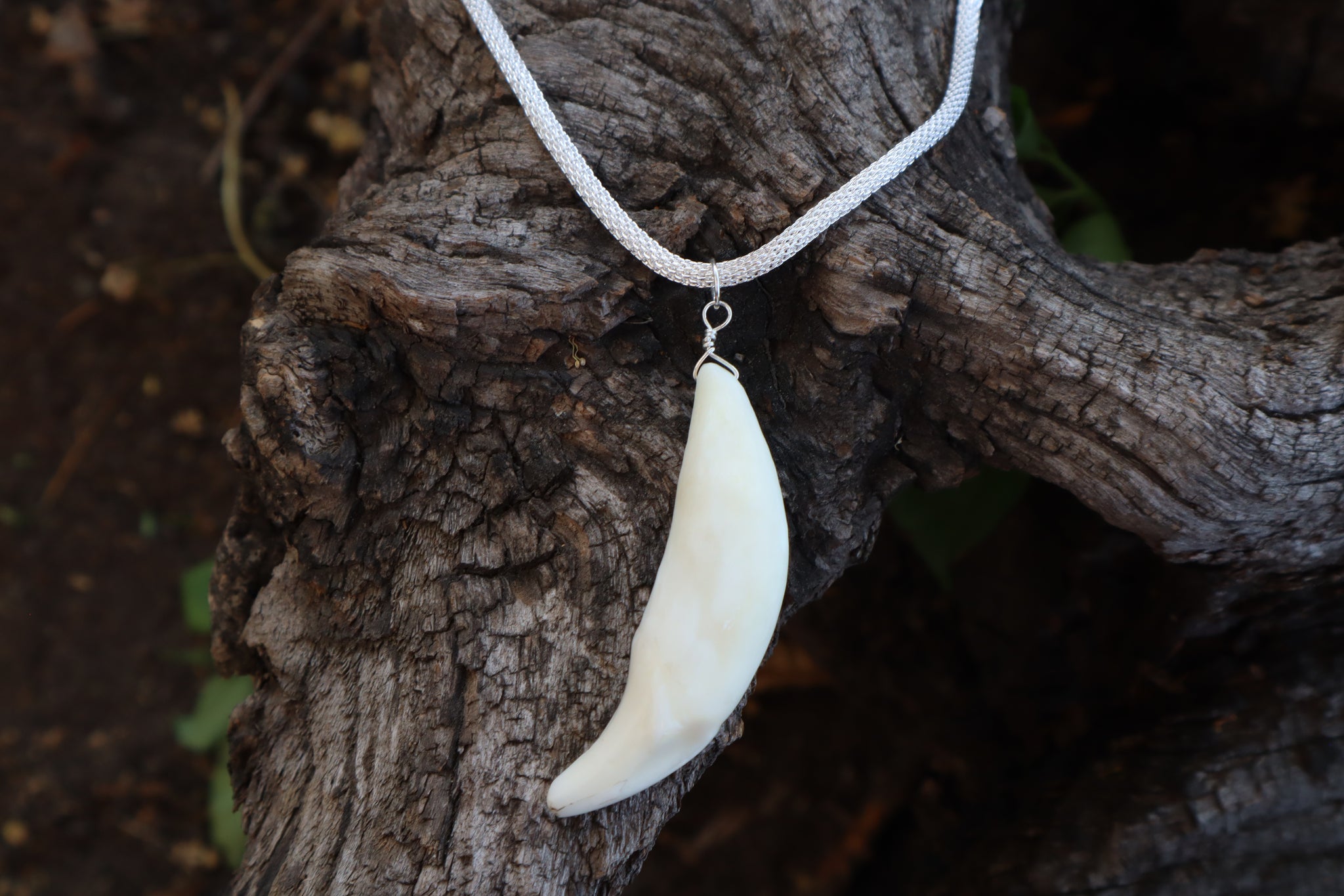 Gray Wolf Tooth Necklace