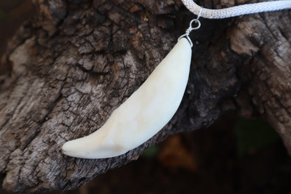 Gray Wolf Tooth Necklace