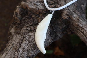 Gray Wolf Tooth Necklace