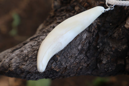 Gray Wolf Tooth Necklace