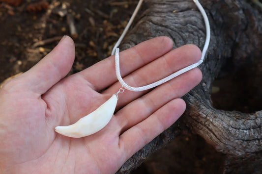 Gray Wolf Tooth Necklace