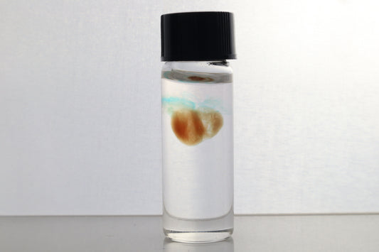Diaphonized Fetal Coyote Heart