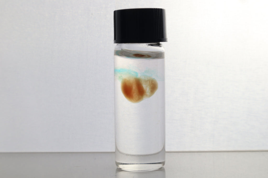 Diaphonized Fetal Coyote Heart