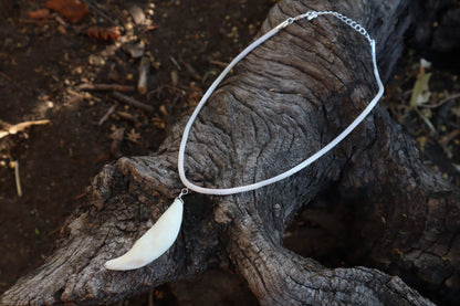 Gray Wolf Tooth Necklace