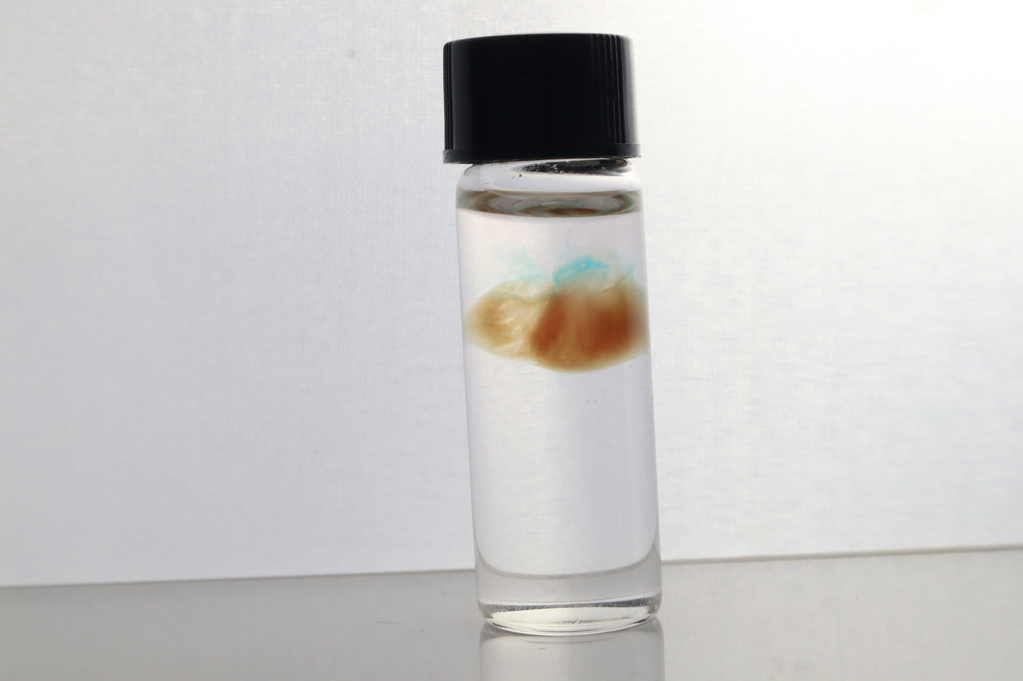 Diaphonized Fetal Coyote Heart