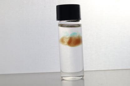 Diaphonized Fetal Coyote Heart