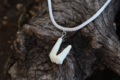 Gray Wolf Tooth Necklace