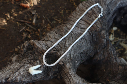 Gray Wolf Tooth Necklace