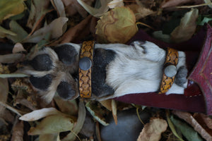 Damascus Gray Wolf Paw Knife with Celtic Wolf Sheath