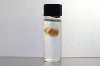 Diaphonized Fetal Coyote Heart