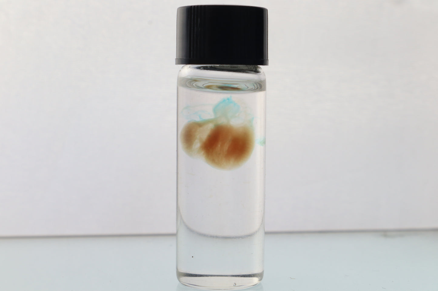 Diaphonized Fetal Coyote Heart